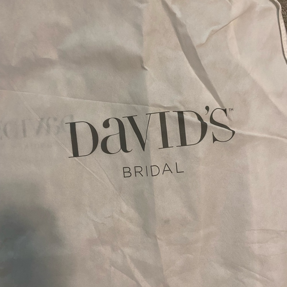David’s Bridal bridal gown bag